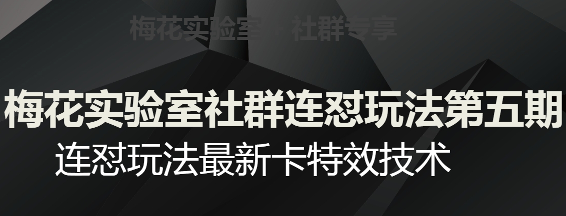 梅花实验室社群连怼玩法第五期，视频号连怼玩法最新卡特效技术-润泽资源库