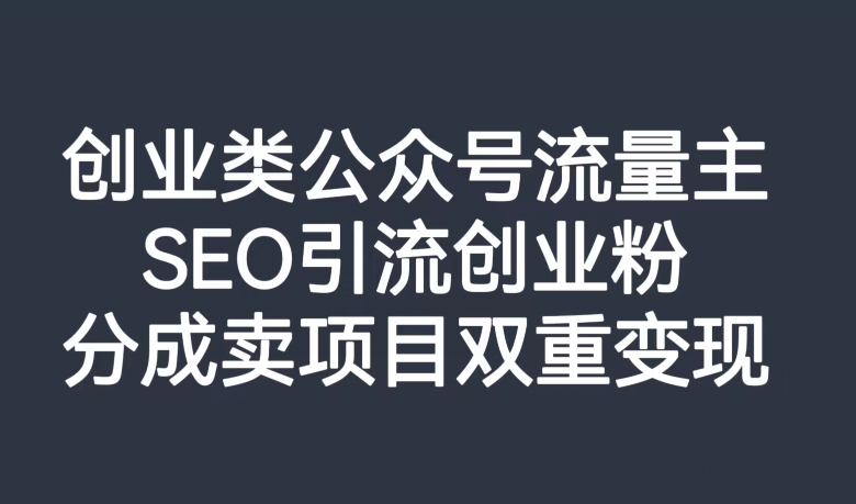 创业类公众号流量主，SEO引流创业粉，分成卖项目双重变现【揭秘】-润泽资源库
