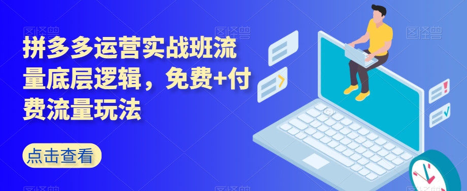 拼多多运营实战班流量底层逻辑，免费+付费流量玩法-润泽资源库