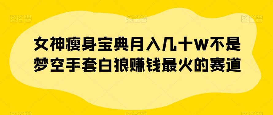 女神瘦身宝典月入几十W不是梦空手套白狼赚钱最火的赛道【揭秘】-润泽资源库