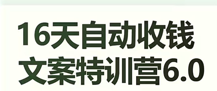 16天自动收钱文案特训营6.0，学会儿每天自动咔咔收钱-润泽资源库
