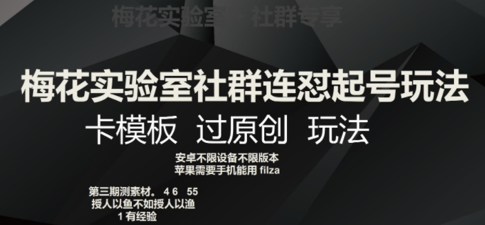 梅花实验室社群连怼起号玩法，卡模板过原创玩法【揭秘】-润泽资源库