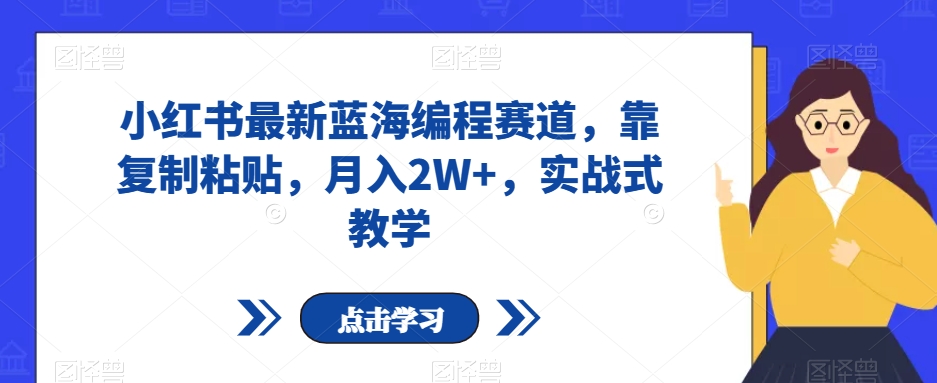 小红书最新蓝海编程赛道，靠复制粘贴，月入2W+，实战式教学【揭秘】-润泽资源库