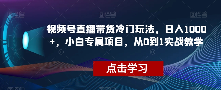 视频号直播带货冷门玩法，日入1000+，小白专属项目，从0到1实战教学【揭秘】-润泽资源库