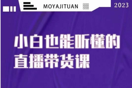 大威本威·能听懂的直播带货课，小白也能听懂，20节完整-润泽资源库
