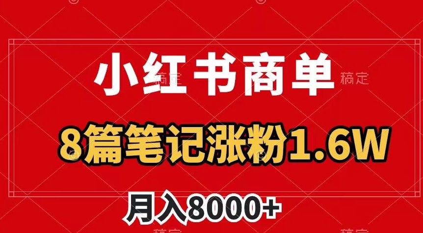 小红书商单最新玩法，8篇笔记涨粉1.6w，作品制作简单，月入8000+【揭秘】-润泽资源库