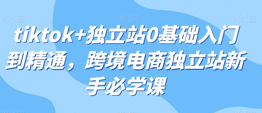 tiktok+独立站0基础入门到精通，跨境电商独立站新手必学课-润泽资源库