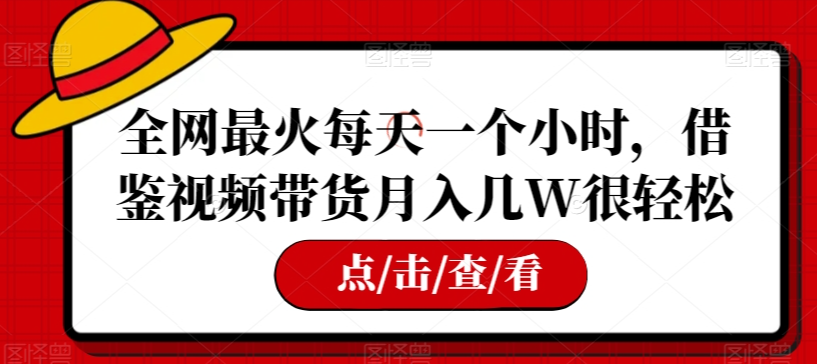 全网最火每天一个小时，借鉴视频带货月入几W很轻松【揭秘】-润泽资源库