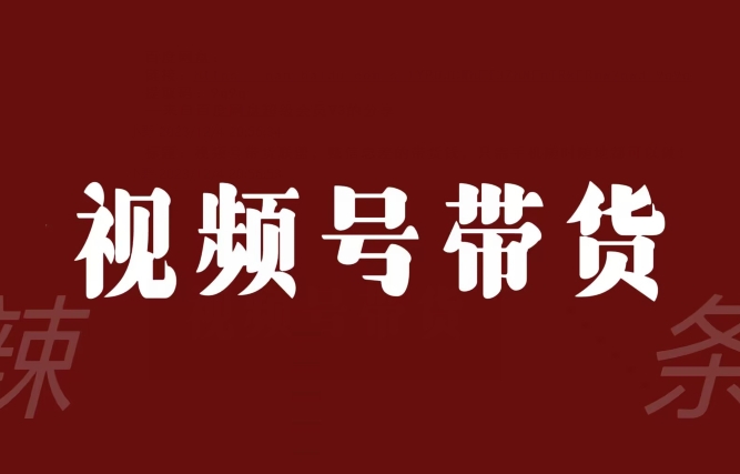 视频号带货联盟，赚信息差的带货钱，只需手机随时随地都可以做！-润泽资源库