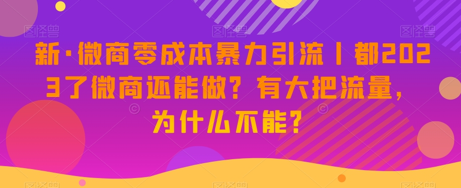 新·微商零成本暴力引流丨都2023了微商还能做？有大把流量，为什么不能？-润泽资源库