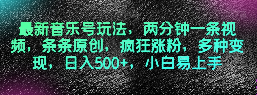 最新音乐号玩法，两分钟一条视频，条条原创，疯狂涨粉，多种变现，日入500+，小白易上手【揭秘】-润泽资源库