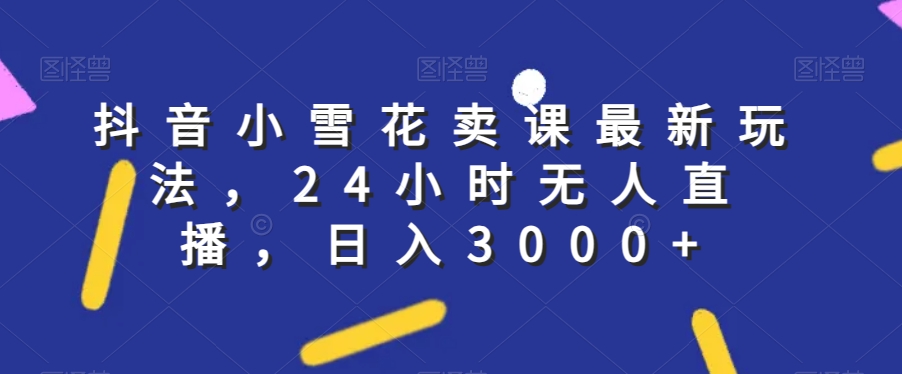 抖音小雪花卖课最新玩法，24小时无人直播，日入3000+【揭秘】-润泽资源库