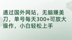 通过国外网站，无脑赚美刀，单号每天300+可放大操作，小白轻松上手【揭秘】-润泽资源库