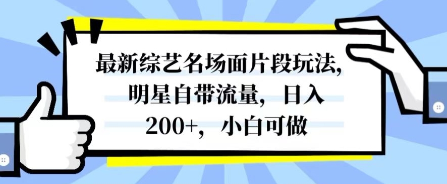 最新综艺名场面片段玩法，明星自带流量，日入200+，小白可做【揭秘】-润泽资源库