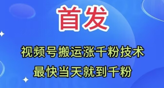 全网首发：视频号无脑搬运涨千粉技术，最快当天到千粉【揭秘】-润泽资源库
