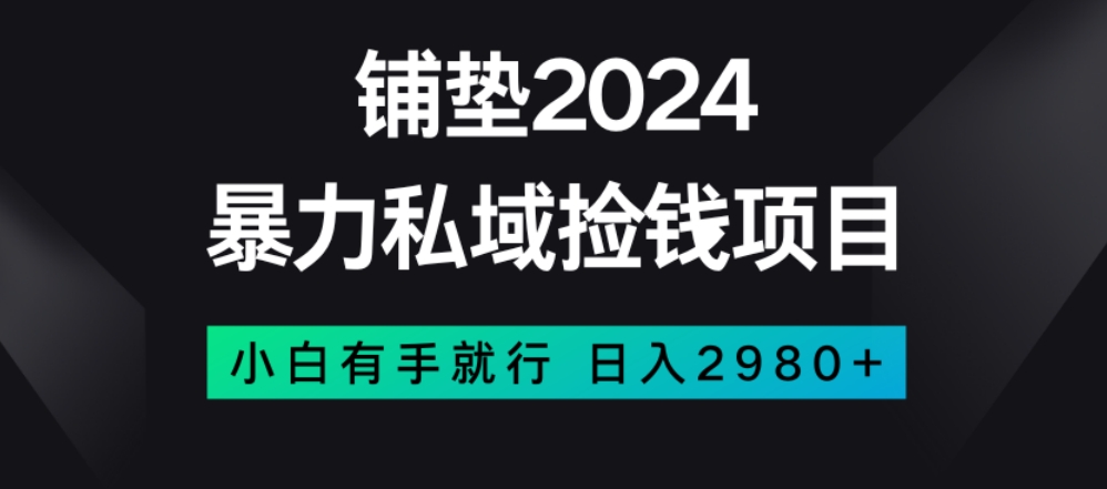 暴力私域捡钱项目，小白无脑操作，日入2980【揭秘】-润泽资源库