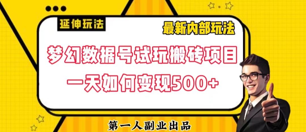 数据号回归玩法游戏试玩搬砖项目再创日入500+【揭秘】-润泽资源库