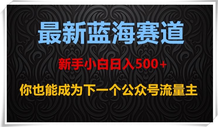 最新蓝海赛道，新手小白日入500+，你也能成为下一个公众号流量主【揭秘】-润泽资源库