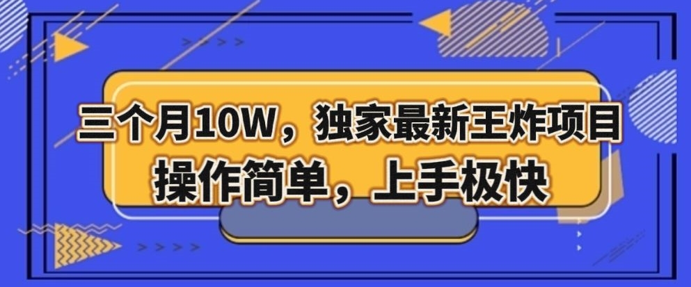 三个月10W，独家最新王炸项目！操作简单，上手极快【揭秘】-润泽资源库