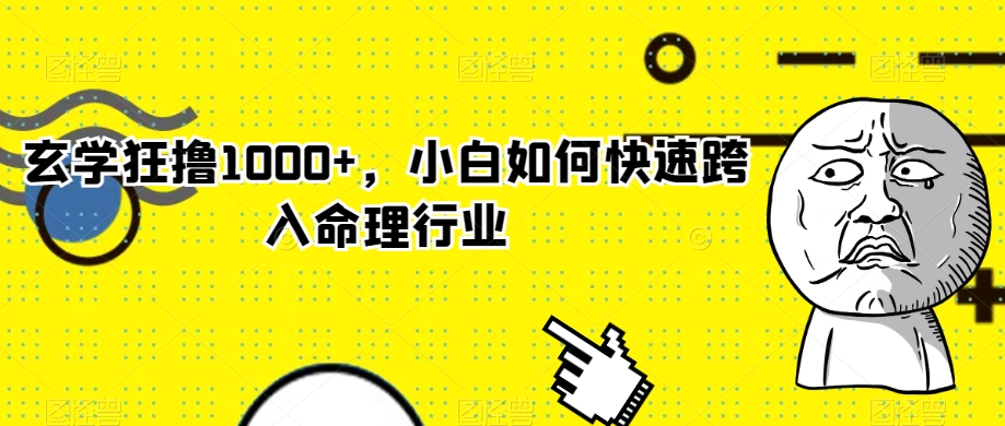 玄学狂撸1000+，小白如何快速跨入命理行业【揭秘】-润泽资源库