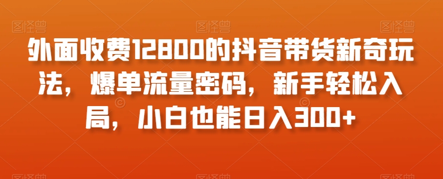 外面收费12800的抖音带货新奇玩法，爆单流量密码，新手轻松入局，小白也能日入300+【揭秘】-润泽资源库