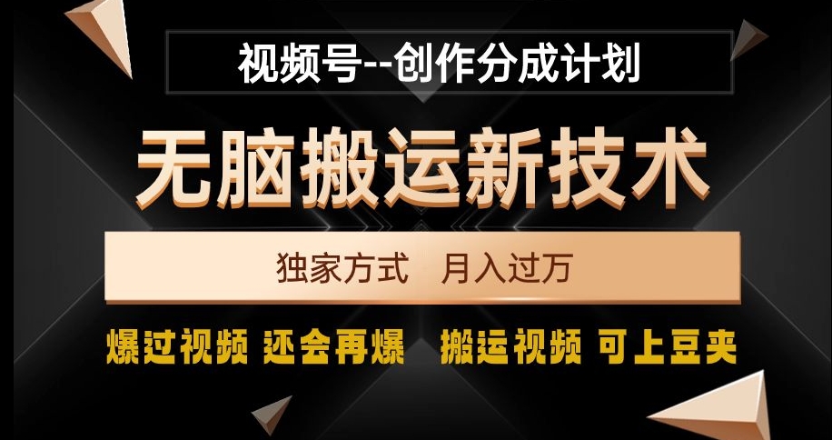 视频号无脑搬运新技术，破原创壕流量，独家方式，爆过视频，还会再爆【揭秘】-润泽资源库