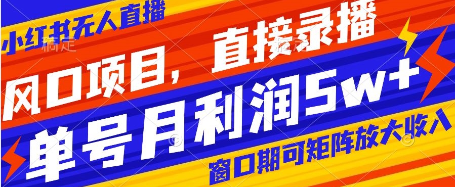 风口项目，小红书无人直播带货，直接录播，可矩阵，月入5w+【揭秘】-润泽资源库