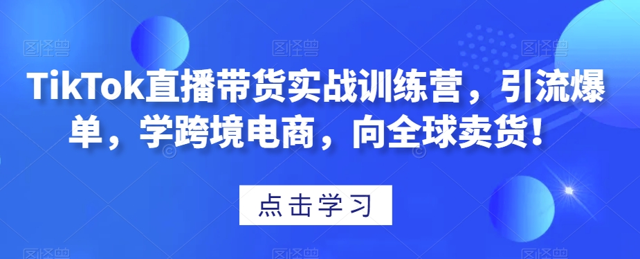 TikTok直播带货实战训练营，引流爆单，学跨境电商，向全球卖货！-润泽资源库