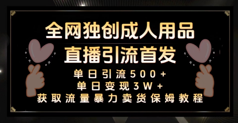 全网独创真人主播+无人直播单日引流500+，橙人用品暴力卖货单日变现3W+保姆似教学2.0【揭秘】-润泽资源库