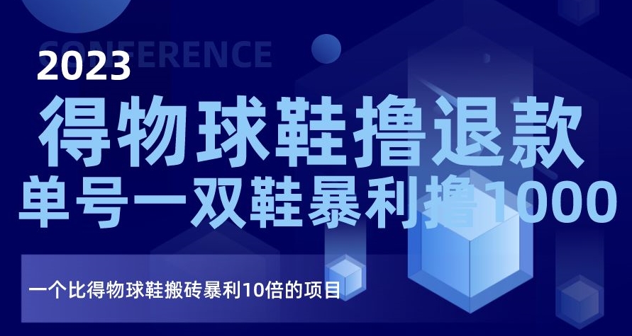 2023得物球鞋撸退款，单号一双鞋暴利撸1000，一个比得物球鞋搬砖暴利10倍的项目【揭秘】-润泽资源库
