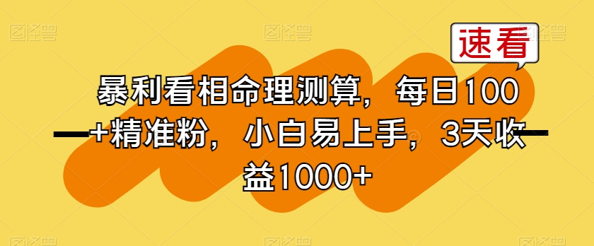 暴利看相命理测算，每日100+精准粉，小白易上手，3天收益1000+【揭秘】-润泽资源库