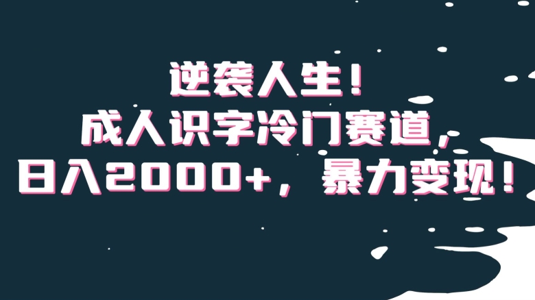 逆袭人生！成人识字冷门赛道，日入2000+，暴力变现！【揭秘】-润泽资源库