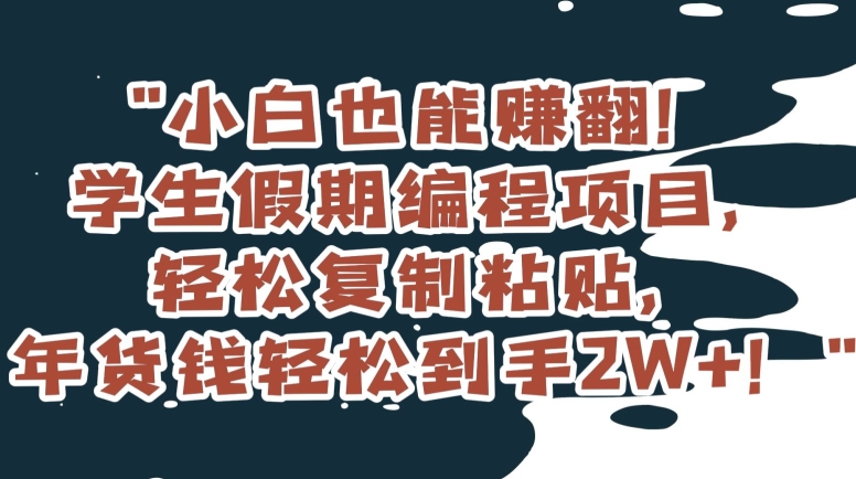 小白也能赚翻！学生假期编程项目，轻松复制粘贴，年货钱轻松到手2W+【揭秘】-润泽资源库