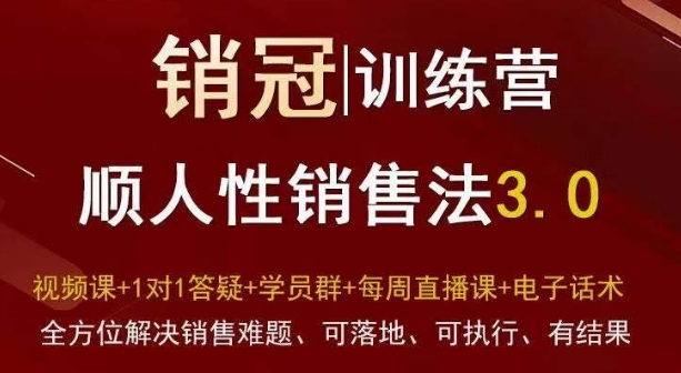 爆款！销冠训练营3.0之顺人性销售法，全方位解决销售难题、可落地、可执行、有结果-润泽资源库