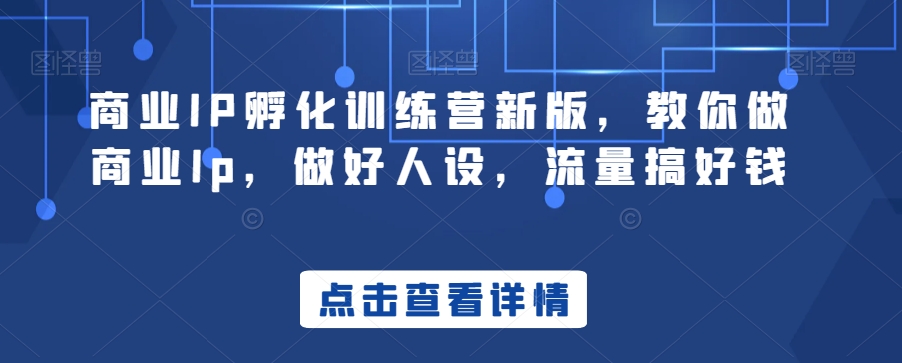 商业IP孵化训练营新版，教你做商业Ip，做好人设，流量搞好钱-润泽资源库