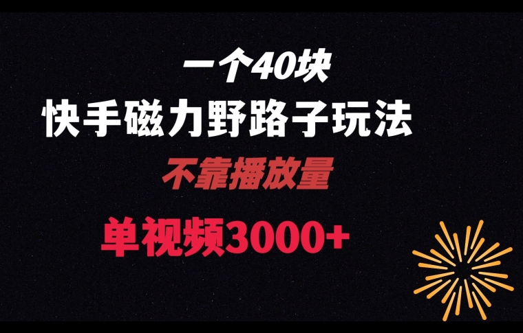 一个40块，快手联合美团磁力新玩法，无视机制野路子玩法，单视频收益4位数【揭秘】-润泽资源库