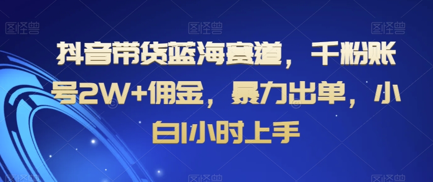 抖音带货蓝海赛道，千粉账号2W+佣金，暴力出单，小白1小时上手【揭秘】-润泽资源库