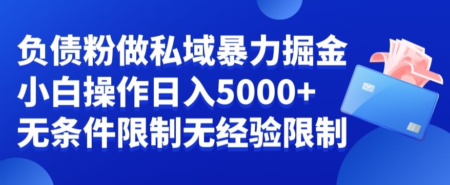 负债粉私域暴力掘金，小白操作入5000，无经验限制，无条件限制【揭秘】-润泽资源库