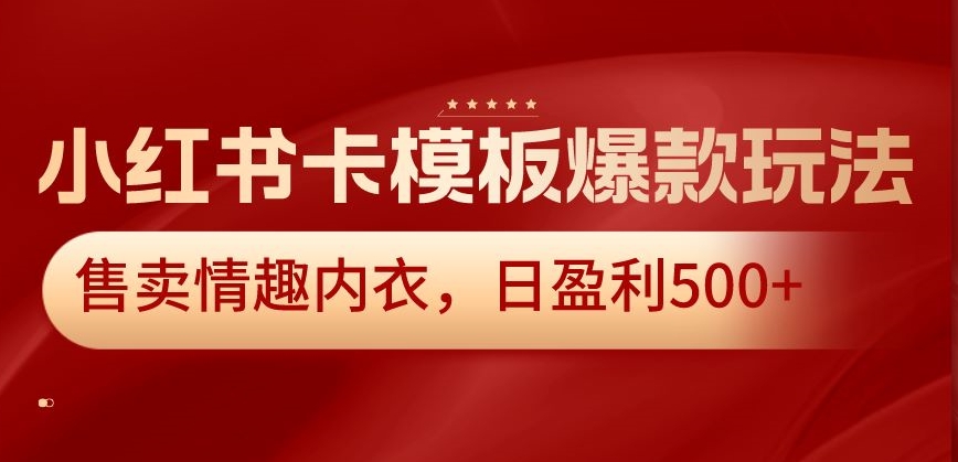 小红书卡模板爆款玩法，售卖情趣内衣，日盈利500+【揭秘】-润泽资源库
