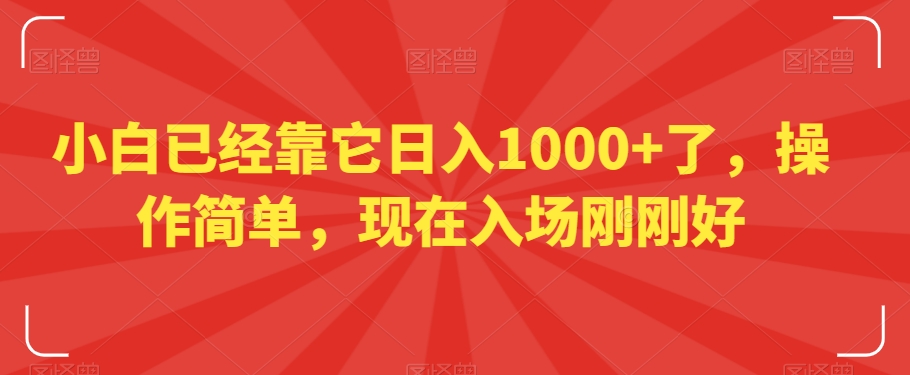 小白已经靠它日入1000+了，操作简单，现在入场刚刚好【揭秘】-润泽资源库