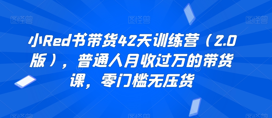 小Red书带货42天训练营（2.0版），普通人月收过万的带货课，零门槛无压货-润泽资源库