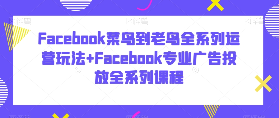 Facebook菜鸟到老鸟全系列运营玩法+Facebook专业广告投放全系列课程-润泽资源库