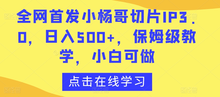 全网首发小杨哥切片IP3.0，日入500+，保姆级教学，小白可做【揭秘】-润泽资源库
