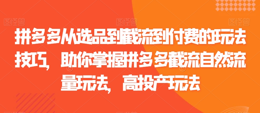 拼多多从选品到截流到付费的玩法技巧，助你掌握拼多多截流自然流量玩法，高投产玩法-润泽资源库
