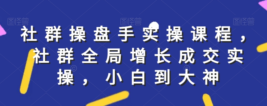 社群实操课程，社群全局增长成交实操，小白到大神-润泽资源库