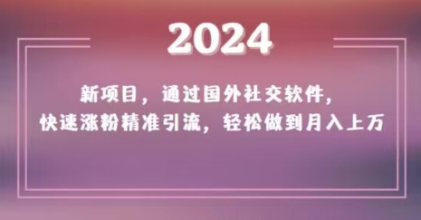 2024新项目，通过国外社交软件，快速涨粉精准引流，轻松做到月入上万【揭秘】-润泽资源库