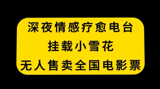 深夜情感疗愈电台，挂载小雪花，无人售卖全国电影票【揭秘】-润泽资源库