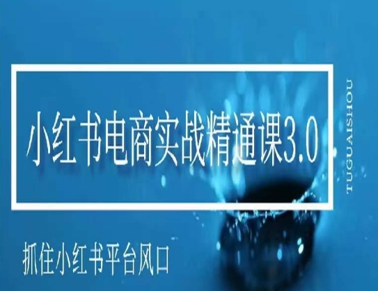 小红书电商实战精通课3.0，抓住小红书平台的风口，不错过有一个赚钱的机会-润泽资源库
