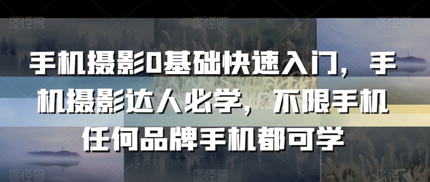手机摄影0基础快速入门，手机摄影达人必学，不限手机任何品牌手机都可学-润泽资源库