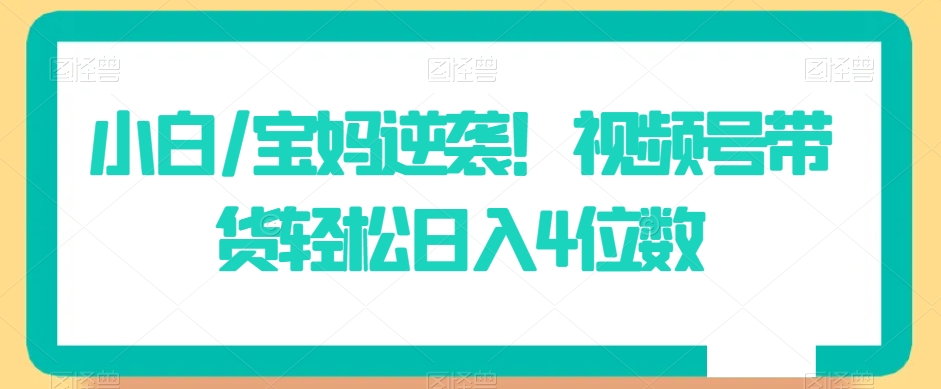 小白/宝妈逆袭！视频号带货轻松日入4位数【揭秘】-润泽资源库